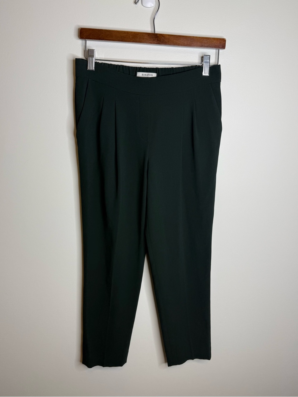 Aritzia Babaton Cohen Pant | green | Size 4